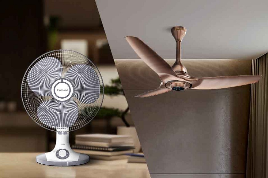 best table fan in 2026